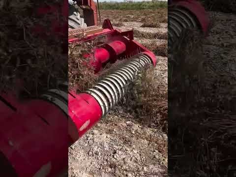 Amazing Desi Jugaad by Farming #Desi #Jugaad#Jugad #Farming#Kheti#Khetibadi #Agriculture#harvesting