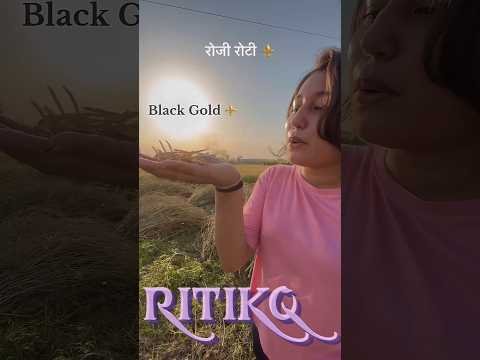 MiniVlog❤️‍🩹#trendingshorts #villagelife #vlog #viral #haryanvi #desi #shortsfeed #minitractor