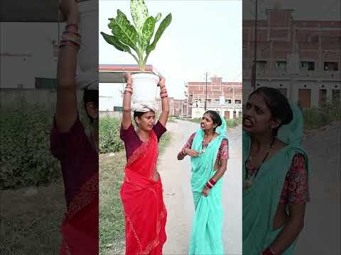 rod ligth #pagalicomedy #shorts #funny #viral #desi  #comedyvideo #pagli #sorts