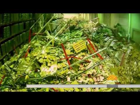 News   Forklift accident creates warehouse disaster in viral video