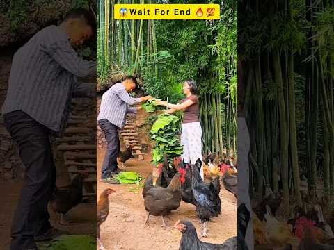 चाइना वालों का Desi जुगाड़🫢👌Polutry Farming करने का Viral स्मार्ट Technology Deshi Jugad👍#shorts