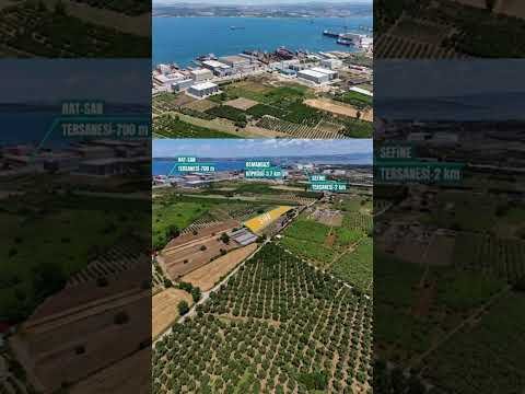 YALOVA ALTINOVA DA SATILIK TARLA