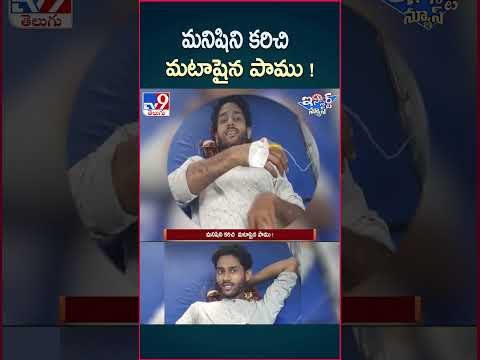 iSmart News : మనిషిని కరిచి మటాషైన పాము ! | Snake – TV9