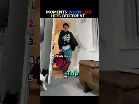 the last one is real #shorts #viral #funny #comedy #fyp #america #ranking #funnymoment #world