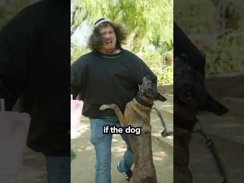 How To Survive A Dog Bite