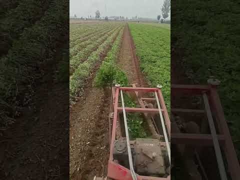 Amazing Desi Jugaad by Farming #Desi #Jugaad #Jugad #Farming#Kheti #Khetibadi #Agriculture #Tractor