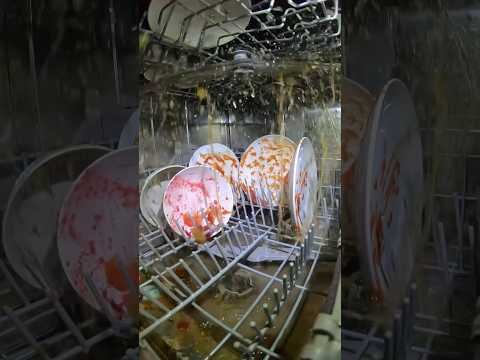 I put a camera inside my dishwasher 📸 🧼
