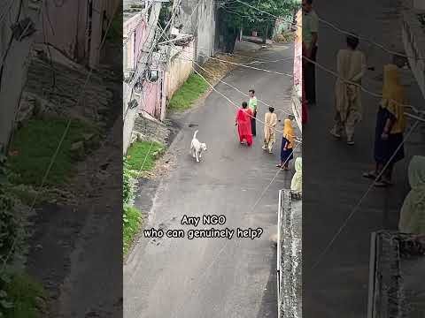 Urgent 🚨 #ngo #pet #streetdog #help #animalabuser #alcohol #viral