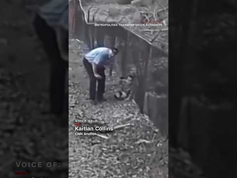 Train conductor spots 3-year-old boy on tracks