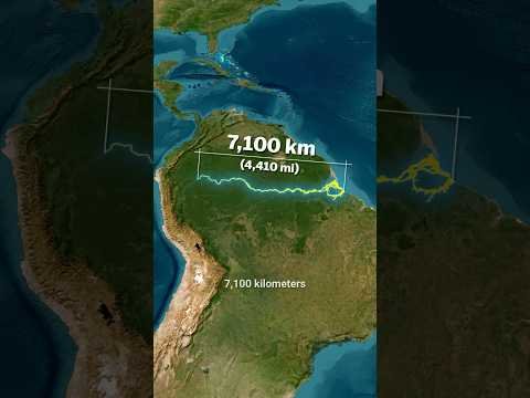 Why The Amazon River Has No Bridges? ๐คฏ One of the World’s Longest Rivers ๐