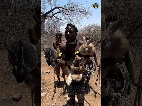 आदिवासी को मिला अजीब फल 😱 Tribal Find Rabbit | #shortsfeed #adivasi #viral #facts