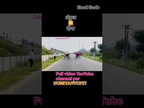 Full video aa gyi dekho jaldi #viral #desi #animal #farming #up37 #jhotalover #jhotarace #bailrace