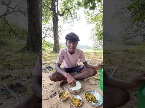 जंगल में 🍗🥘पार्टी🥳#minivlog #minivlog #villagerlifestyle #vlog #desi #viral #india #hindivlogs