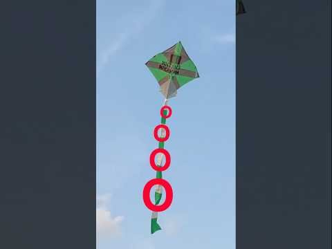 Tiranga Kite Looting | Kite Flying | Patang Ki Video | Yogesh 01