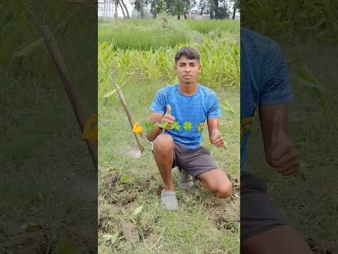 hrasabji ki taiyari #fitnesstabahiji #desi #motivation #shorts