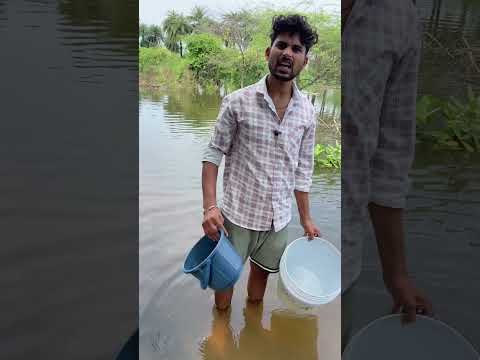 Mayke ki deewani shanti😂😂#shorts #feedshorts #shortsfeed #desi #flood #views