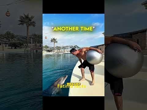 Something special about dolphins and Ronaldo. #viral #youtubeshorts #shortsfeed #ytshorts
