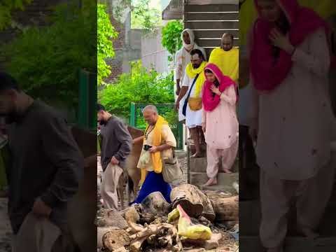 Virat Kohli Anushka Sharma in Vrindavan: Premanand Maharaj से आशीर्वाद लेने पहुंचे Virushka #Shorts