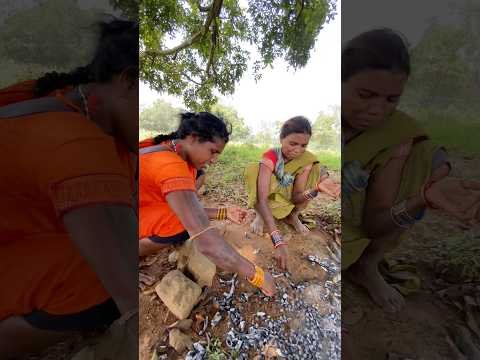 क्या मिला जंगल में 😱 #minivlog #vlog #villagerlifestyle #desi #cghome #viral #youtubevloggers