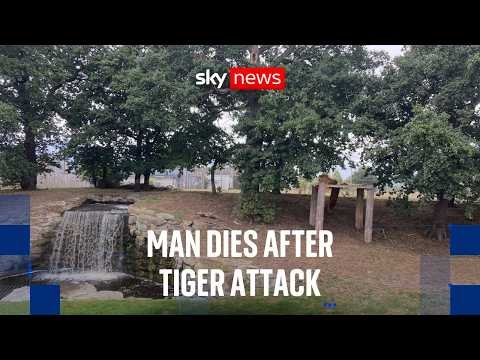 Man dies after attack by tiger at UK wildlife park