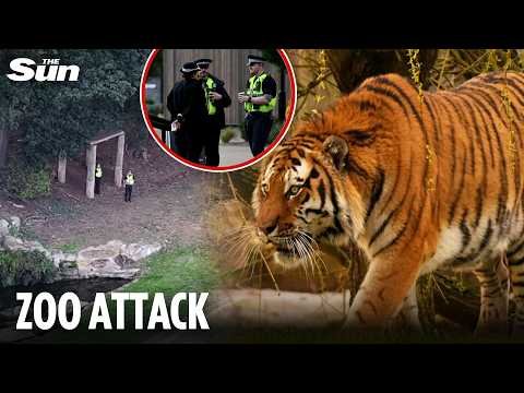 Man killed by tiger at UK wildlife park ‘posed for pic & danced before jumping into pen’