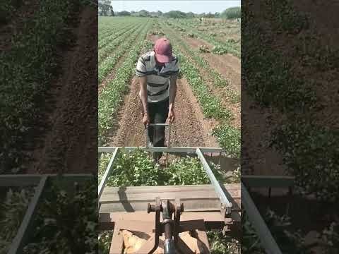  Desi Jugaad by Farming #Desi #Jugaad #Jugad #Farming#Kheti #Khetibadi #Agriculture #easy