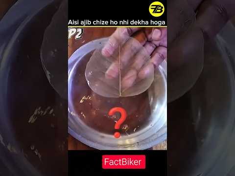 🤯Aesi Ajib garib fact 😱#viral #facts #gadgets #shorts #ytshorts #trending #trendingshorts 🤯😱😱🌎😱❓❓😱❓