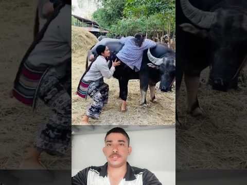 EpicFails Part 28 || try no to Lough || funny fails #funny #funnymoment #short #thestupids #shorts