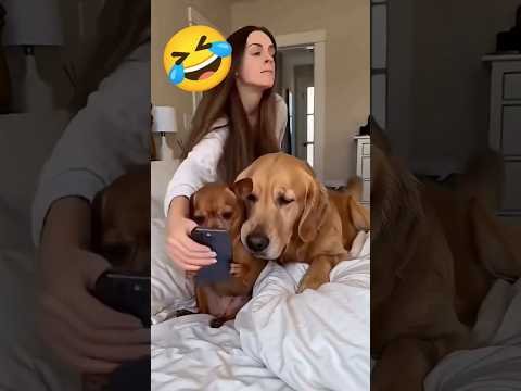 This Video Will Make You Laugh 100%😰💃🐕🦺🦮📱😥 Funny Shorts#haaland #funny #mbappe#foryou#shorts