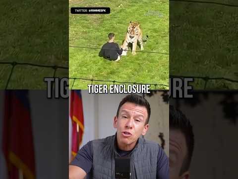 Tiger Mauls Visitor to UK Park After he JUMPS Into the Enclosure