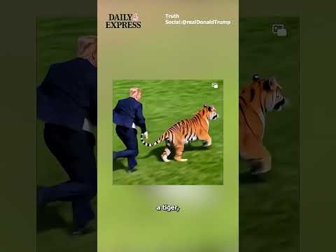 Family of man killed by tiger criticise online content after Trump posts bizarre AI video 🔴