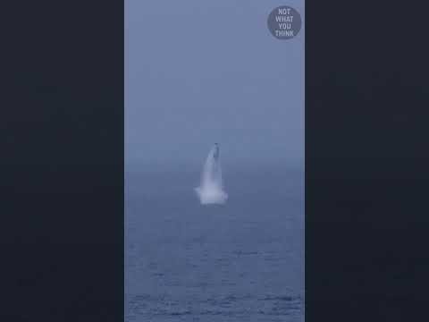 How Submarines Launch a Ballistic Missile