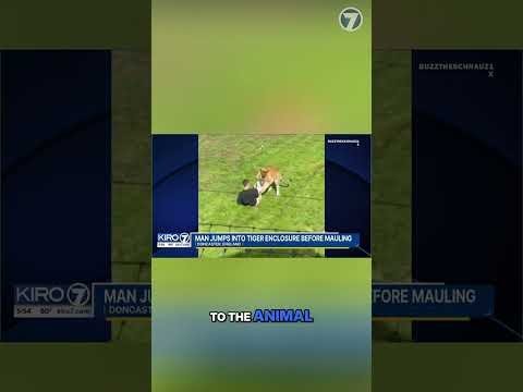 Man Jumps Into Tiger Enclosure—Witnesses Describe the Terrifying Moment #shorts