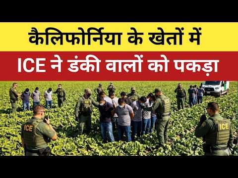 California के खेतों में ICE Raid, Illegal Immigrants Arrest 🇺🇸 | Urgent for US Indians #indiansinusa