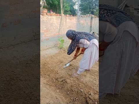 jamidar🌾😍 #farming #kisan #desi #@sureshkumari2246