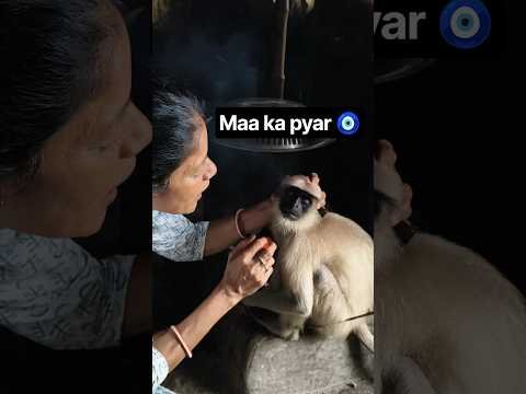 MAA KA PYAR 🧿||Jaggu|| #viral#reels#shorts#gujrat##desi#vlog#minivlog#shortvideo#100k