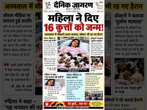 Mahila ने Diye 16 कुत्तो Ko जन्म !! #breakingnews #latestnews #tv #news !