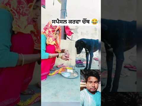 Gal Muka Ke 😂 #latestpunjabsong #dharampreet #punjabisong #sadsong #punjabimusic #newpunjabisong