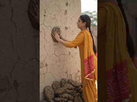 Traditional Cow Dung Cakes Making 🇵🇰 | Desi Village Life #Shorts